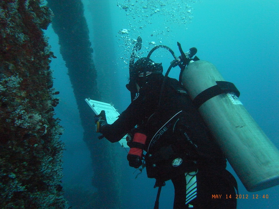 Gulf region cooperative research collects and shares data